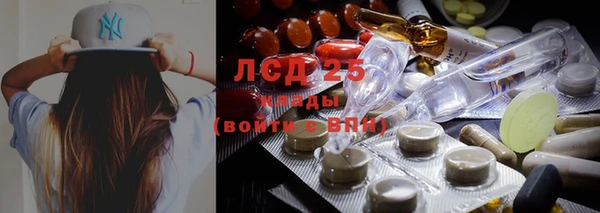 молекула духа Карпинск