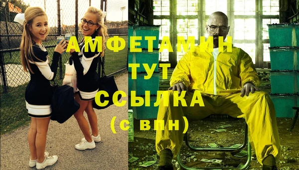 молекула духа Карпинск
