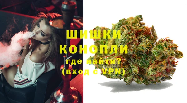 молекула духа Карпинск