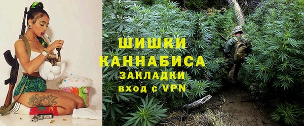 молекула духа Карпинск
