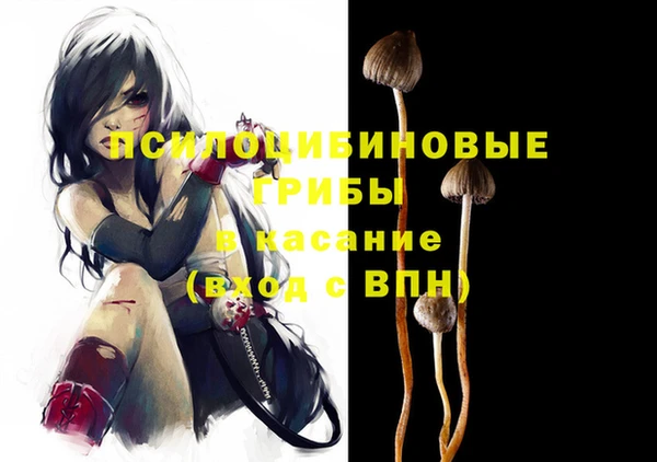 молекула духа Карпинск