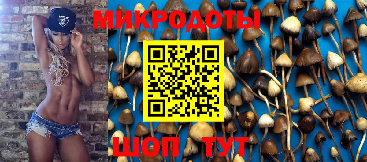 Волжский  Псилоцибиновые грибы GOLDEN TEACHER  Вход с VPN 