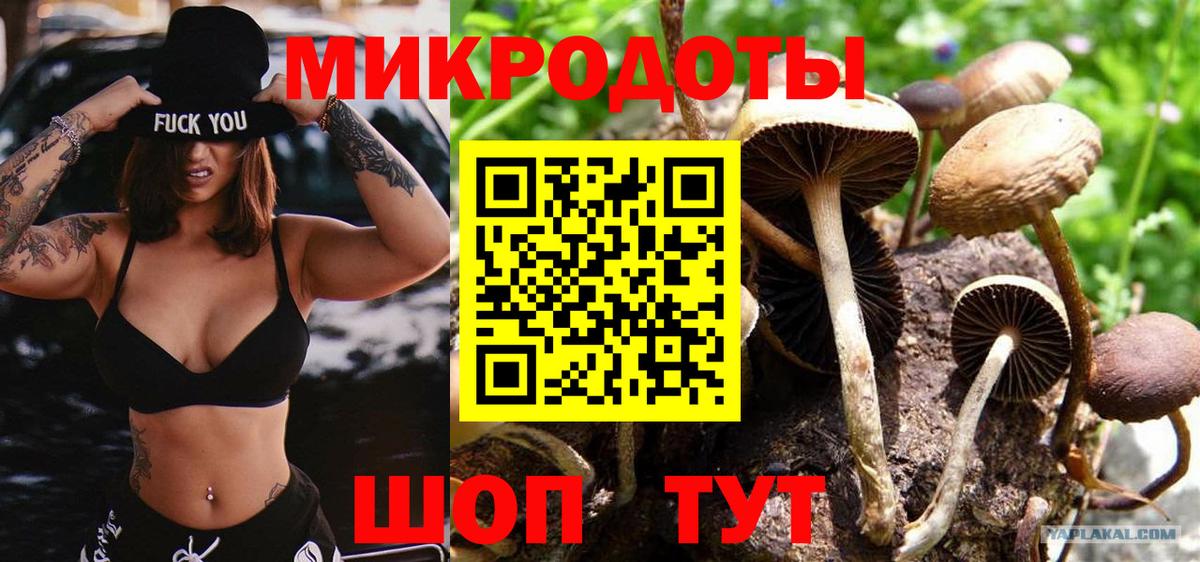 Псилоцибиновые грибы Cubensis Волжский